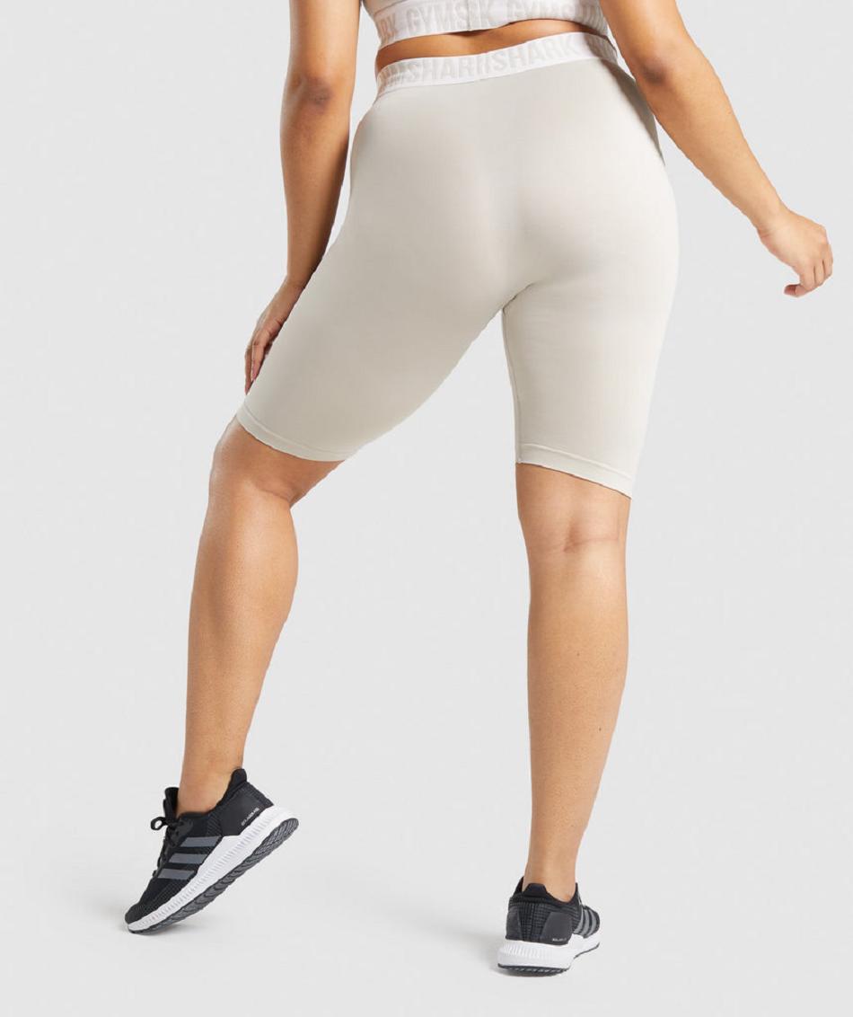 Pantalones Cortos Gymshark Fit Seamless Cycling Mujer Gris | CO 2787GSO